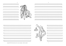 Faltbuch-Schneeglöckchen-blanko-1-SW.pdf